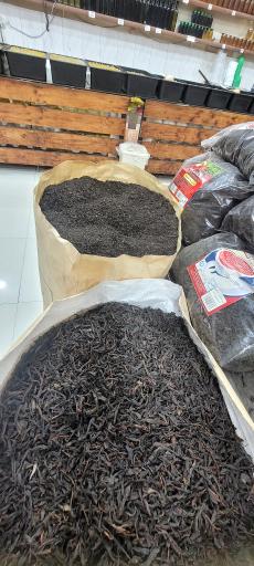 عکس زیتون سرای دوقولو ها