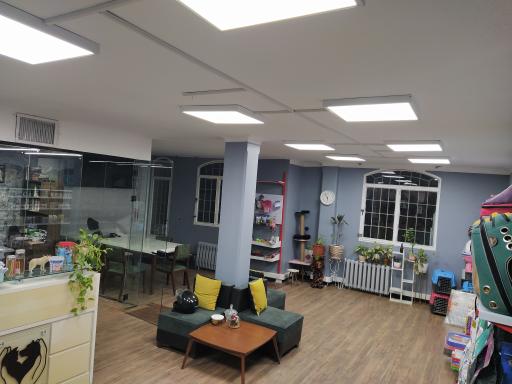 عکس دامپزشکی بف