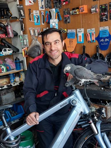 عکس تعمیرات دوچرخه سازی دوستان