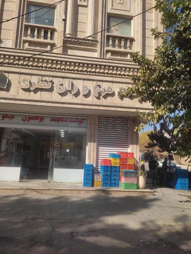 عکس مرغ و ماهی نظری