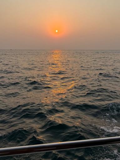 اسکله مارینا