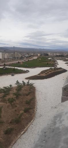عکس باغ ژاپنی مینی ورد