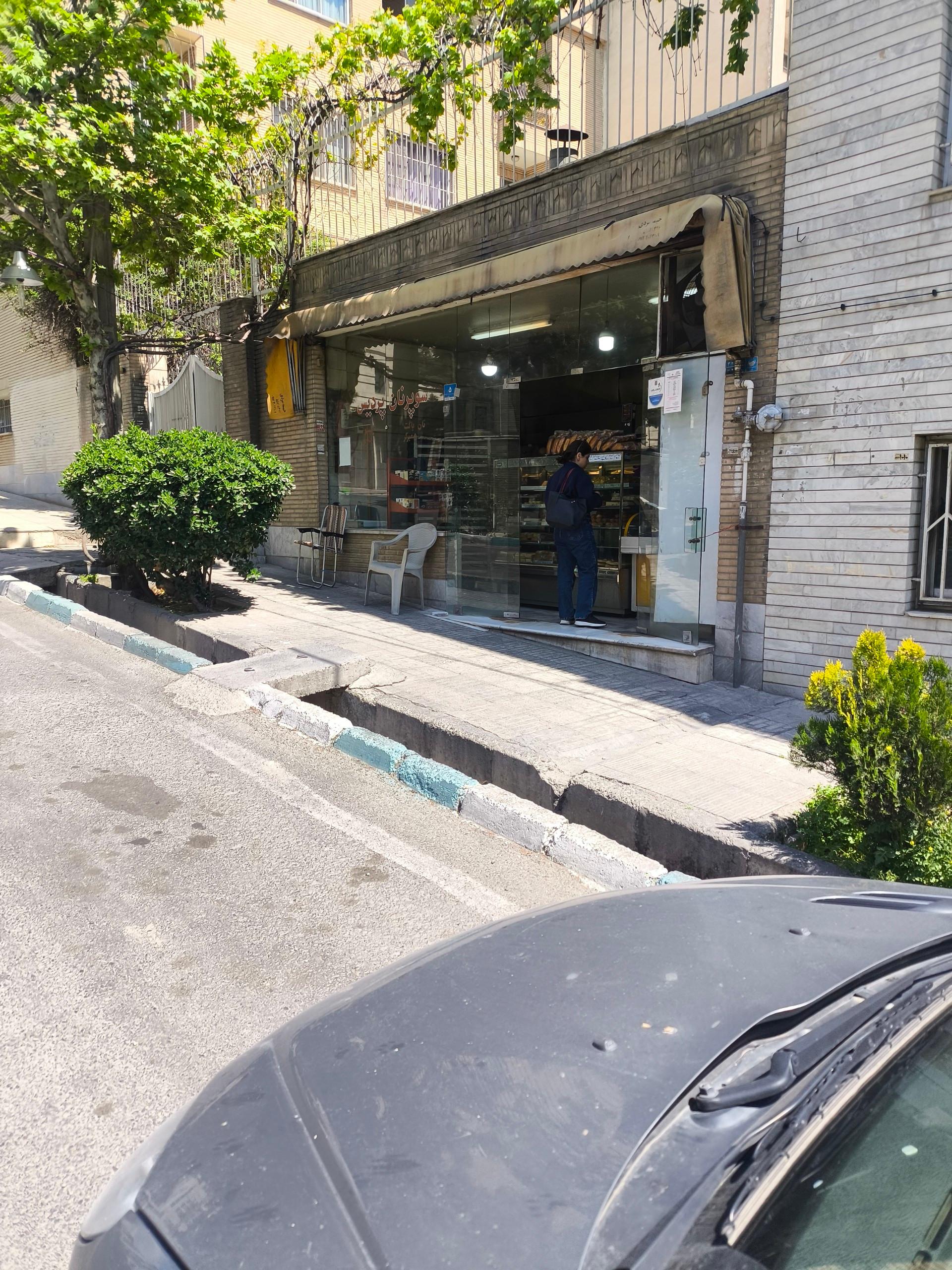 عکس نان فانتزی سرسبز
