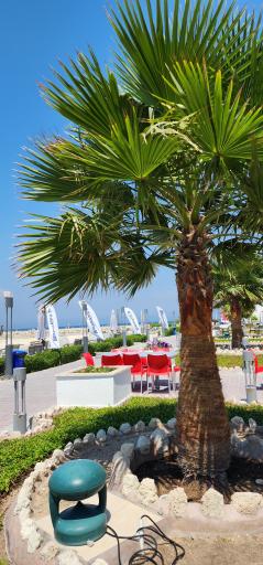 عکس اسکله مارینا