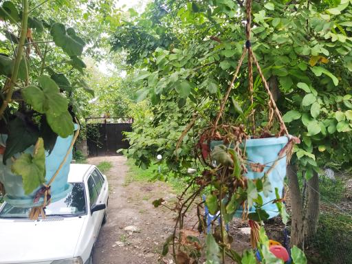 عکس ویلا راحیل