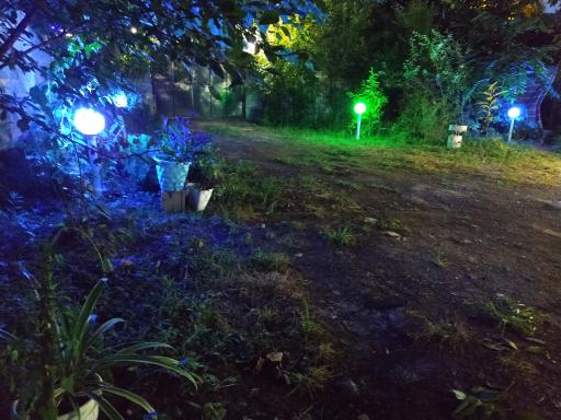 عکس ویلا راحیل