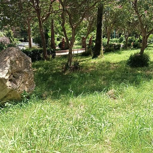 عکس پارک محوطه کاخ