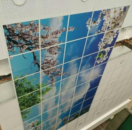 عکس آذران دکور