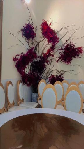 عکس تالار پذیرایی پارسه