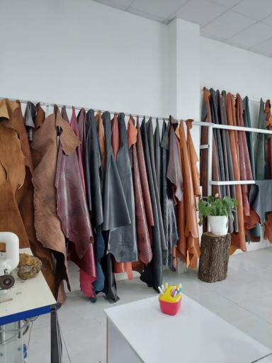 عکس بشری چرم