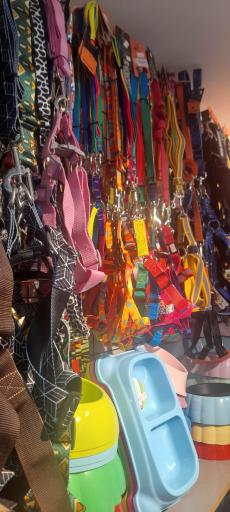 عکس مارکت حیوانات