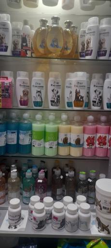 عکس مارکت حیوانات