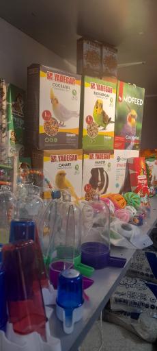 مارکت حیوانات