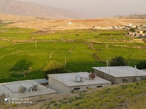 عکس گوراب سفلی
