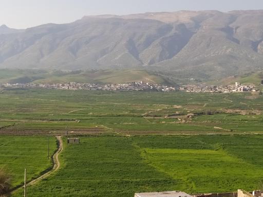 عکس گوراب سفلی