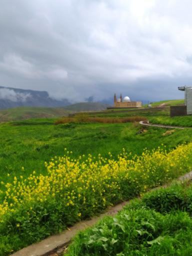 عکس گوراب سفلی