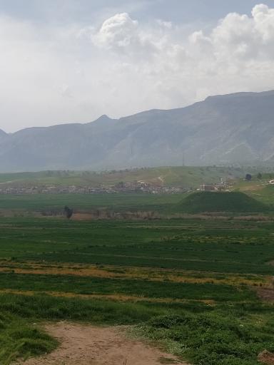 عکس گوراب سفلی