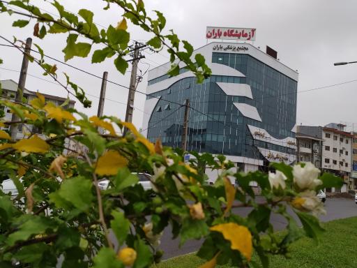 عکس مجتمع پزشکی باران