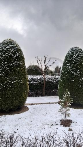 عکس باغ موزه دفاع مقدس