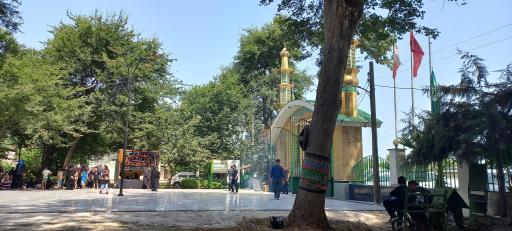 عکس امامزاده موسی الرضا