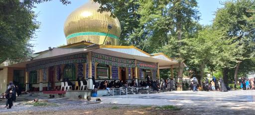 عکس امامزاده موسی الرضا