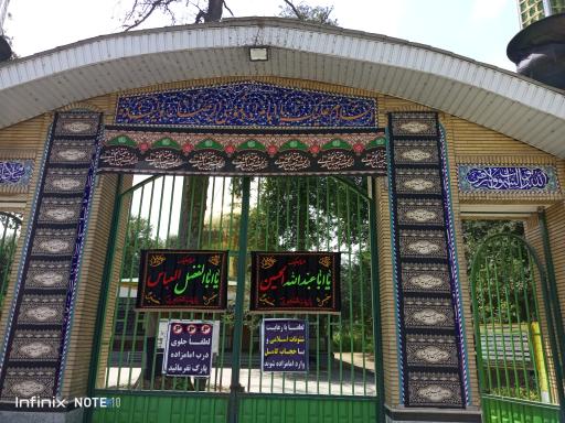 عکس امامزاده موسی الرضا