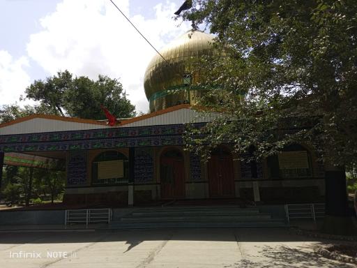 عکس امامزاده موسی الرضا