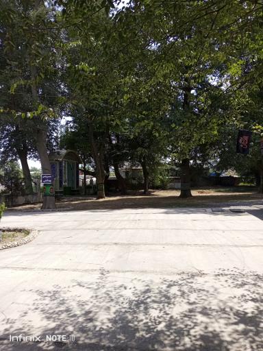 عکس امامزاده موسی الرضا