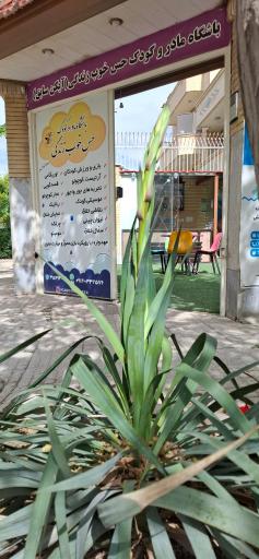 عکس باشگاه حس خوب زندگی 