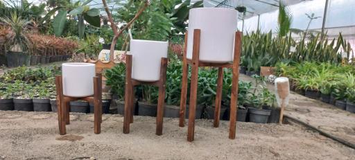 عکس گلخانه هویا