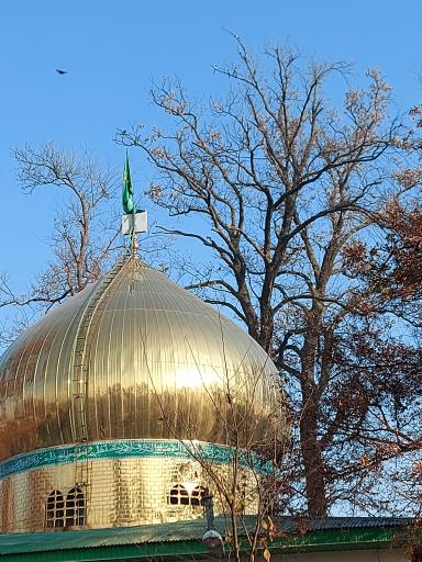 عکس امامزاده موسی الرضا