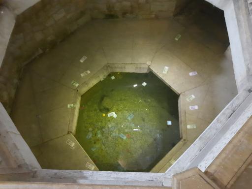 عکس حوض ماهی