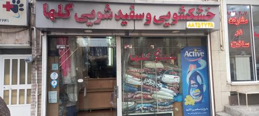 عکس خشکشویی و سفیدشویی گلها