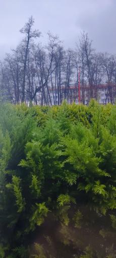 عکس اردوگاه شهید رسولی 