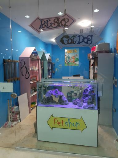 عکس پت شاپ گربه سگ