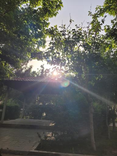 عکس بوستان حکمت