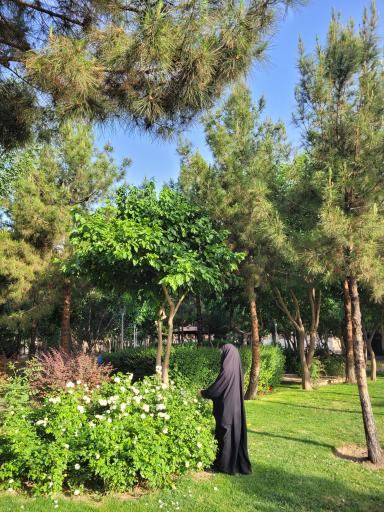 بوستان حکمت