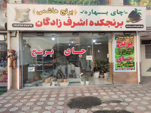 عکس برنجکده اشرف زادگان