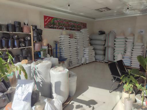 عکس برنجکده اشرف زادگان