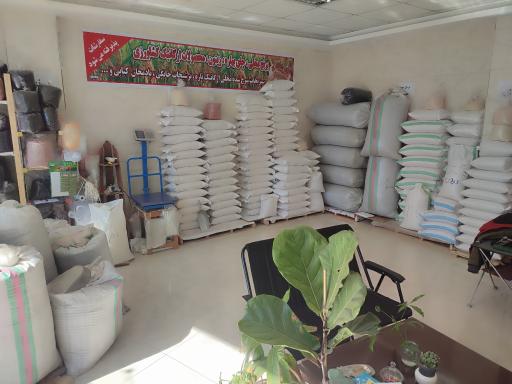 عکس برنجکده اشرف زادگان