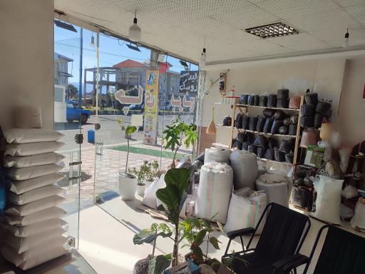 عکس برنجکده اشرف زادگان