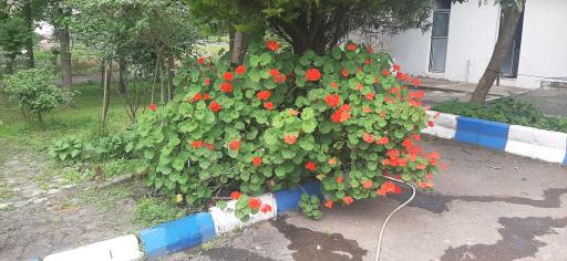 عکس اقامتگاه بشارت (فرهنگیان ملارد)
