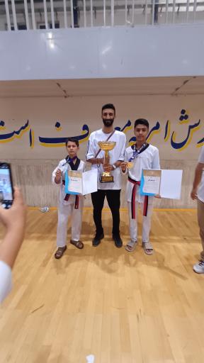 عکس مدرسه تخصصی تکواندو استاد حامدی نسب