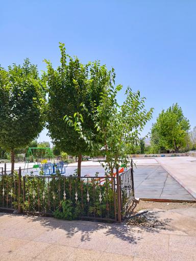 عکس پارکینگ پارک ملت