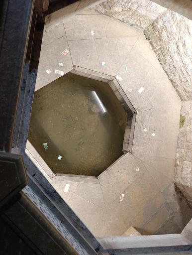 عکس حوض ماهی