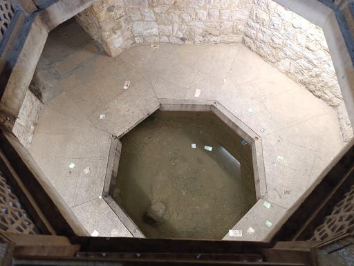 عکس حوض ماهی