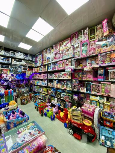 اسباب بازی موشولو 