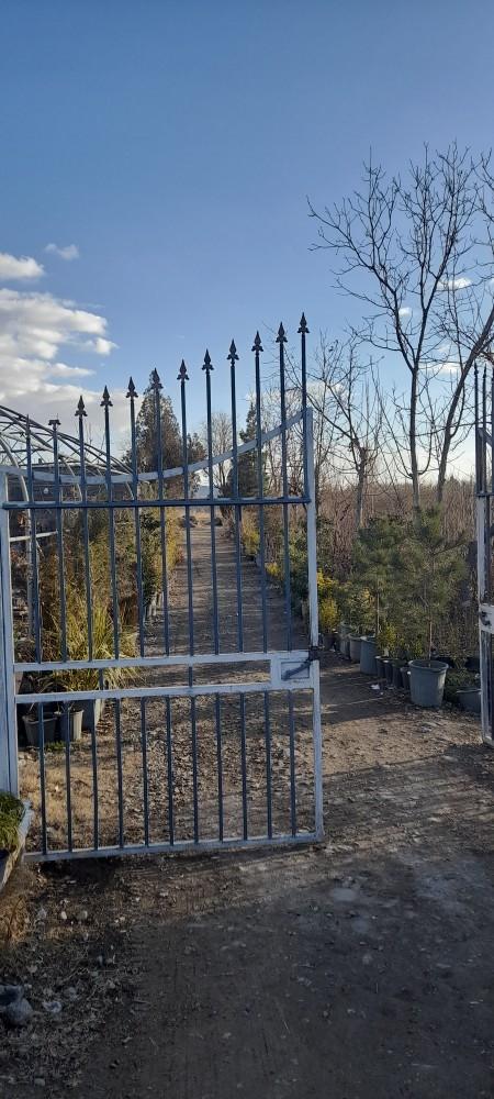 عکس نهالستان رویش