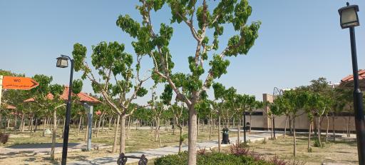 عکس سرویس بهداشتی