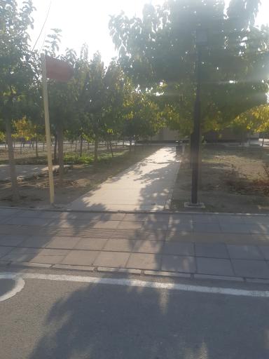 عکس سرویس بهداشتی